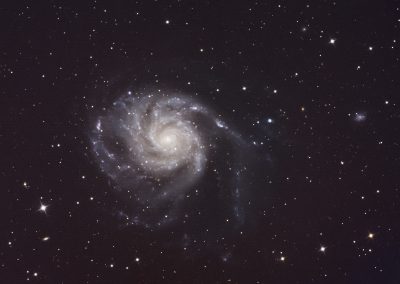 M101 Feuerradgalaxie von S. Dittmann am CDK